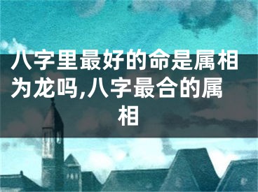 八字里最好的命是属相为龙吗,八字最合的属相