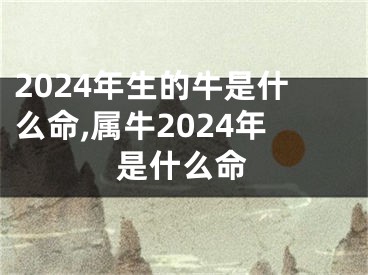 2024年生的牛是什么命,属牛2024年是什么命