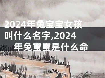 2024年兔宝宝女孩叫什么名字,2024年兔宝宝是什么命