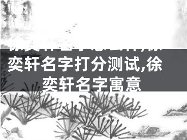 徐奕轩名字怎么样,徐奕轩名字打分测试,徐奕轩名字寓意