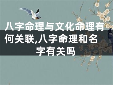 八字命理与文化命理有何关联,八字命理和名字有关吗