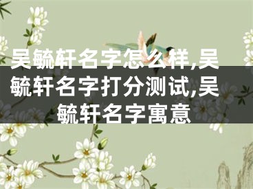 吴毓轩名字怎么样,吴毓轩名字打分测试,吴毓轩名字寓意
