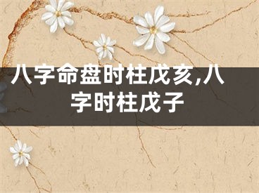 八字命盘时柱戊亥,八字时柱戊子