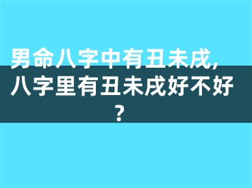 男命八字中有丑未戌,八字里有丑未戌好不好?