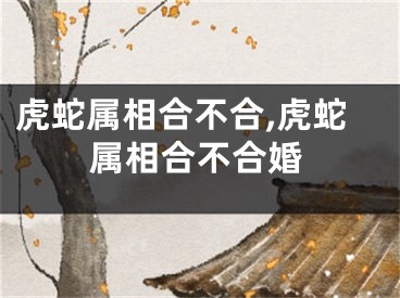 虎蛇属相合不合,虎蛇属相合不合婚