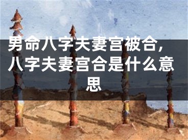 男命八字夫妻宫被合,八字夫妻宫合是什么意思