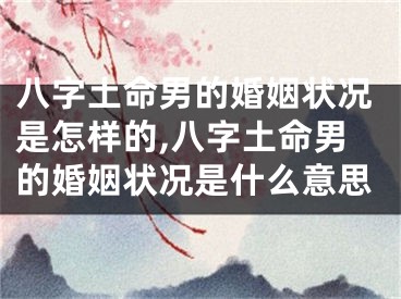八字土命男的婚姻状况是怎样的,八字土命男的婚姻状况是什么意思