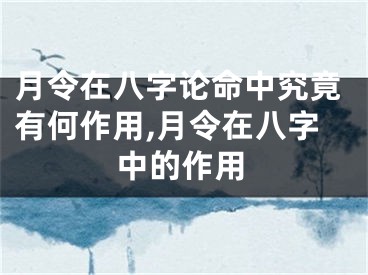 月令在八字论命中究竟有何作用,月令在八字中的作用
