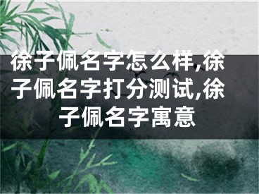 徐子佩名字怎么样,徐子佩名字打分测试,徐子佩名字寓意