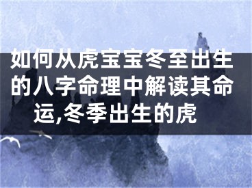 如何从虎宝宝冬至出生的八字命理中解读其命运,冬季出生的虎