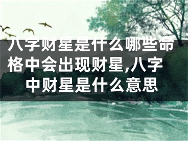 八字财星是什么哪些命格中会出现财星,八字中财星是什么意思