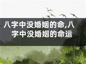 八字中没婚姻的命,八字中没婚姻的命运