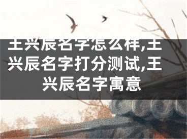 王兴辰名字怎么样,王兴辰名字打分测试,王兴辰名字寓意