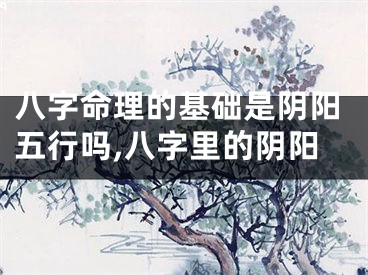 八字命理的基础是阴阳五行吗,八字里的阴阳