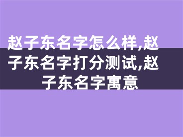 赵子东名字怎么样,赵子东名字打分测试,赵子东名字寓意