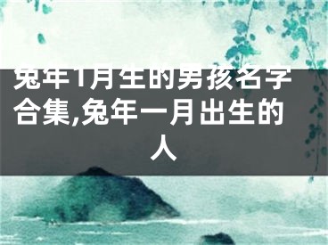 兔年1月生的男孩名字合集,兔年一月出生的人