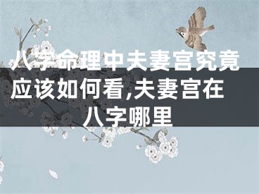八字命理中夫妻宫究竟应该如何看,夫妻宫在八字哪里