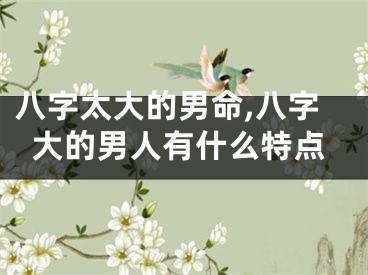 八字太大的男命,八字大的男人有什么特点