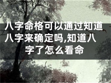 八字命格可以通过知道八字来确定吗,知道八字了怎么看命