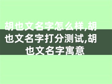 胡也文名字怎么样,胡也文名字打分测试,胡也文名字寓意