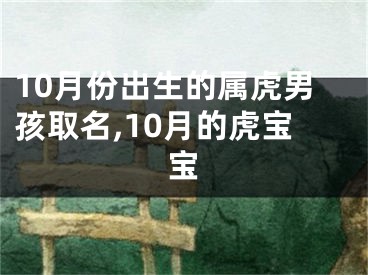 10月份出生的属虎男孩取名,10月的虎宝宝