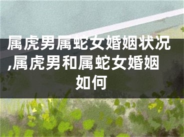 属虎男属蛇女婚姻状况,属虎男和属蛇女婚姻如何
