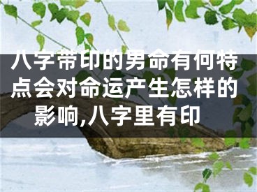 八字带印的男命有何特点会对命运产生怎样的影响,八字里有印