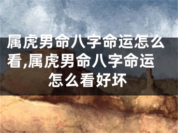 属虎男命八字命运怎么看,属虎男命八字命运怎么看好坏