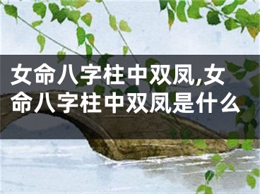 女命八字柱中双凤,女命八字柱中双凤是什么