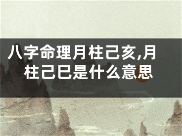 八字命理月柱己亥,月柱己巳是什么意思