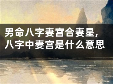 男命八字妻宫合妻星,八字中妻宫是什么意思