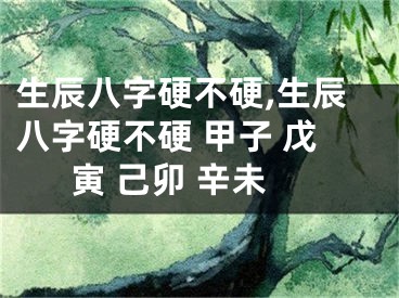生辰八字硬不硬,生辰八字硬不硬 甲子 戊寅 己卯 辛未