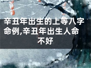 辛丑年出生的上等八字命例,辛丑年出生人命不好
