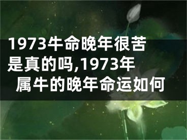 1973牛命晚年很苦是真的吗,1973年属牛的晚年命运如何