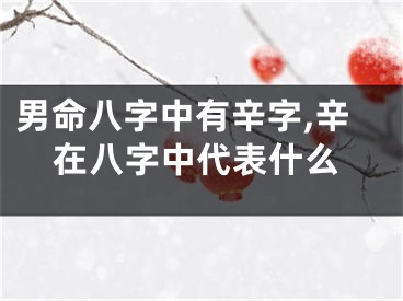 男命八字中有辛字,辛在八字中代表什么