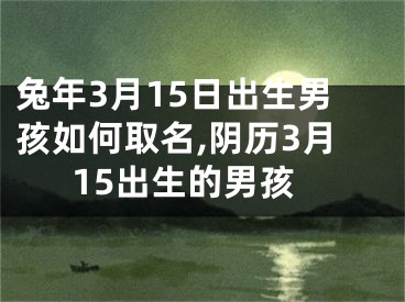 兔年3月15日出生男孩如何取名,阴历3月15出生的男孩