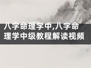 八字命理学中,八字命理学中级教程解读视频