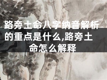 路旁土命八字纳音解析的重点是什么,路旁土命怎么解释