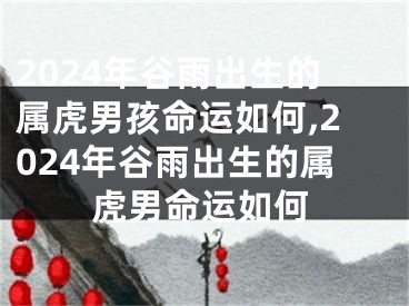 2024年谷雨出生的属虎男孩命运如何,2024年谷雨出生的属虎男命运如何