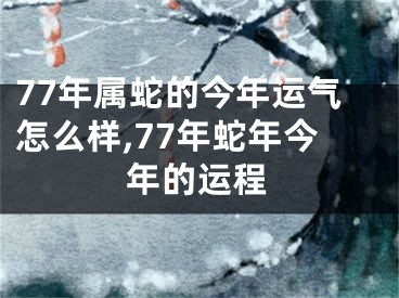 77年属蛇的今年运气怎么样,77年蛇年今年的运程