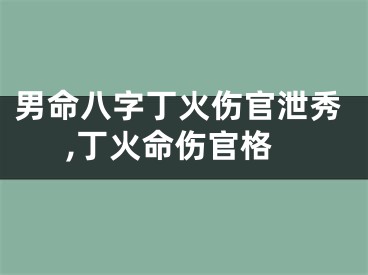 男命八字丁火伤官泄秀,丁火命伤官格