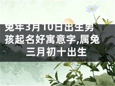 兔年3月10日出生男孩起名好寓意字,属兔三月初十出生