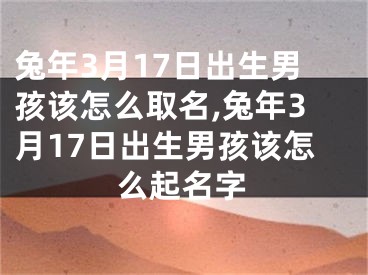 兔年3月17日出生男孩该怎么取名,兔年3月17日出生男孩该怎么起名字