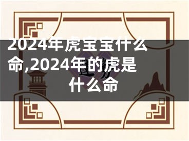 2024年虎宝宝什么命,2024年的虎是什么命