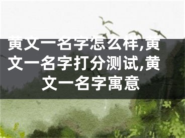 黄文一名字怎么样,黄文一名字打分测试,黄文一名字寓意