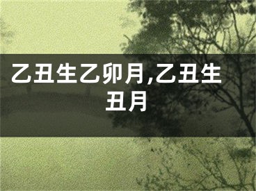 乙丑生乙卯月,乙丑生丑月