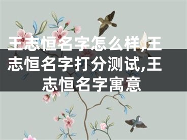 王志恒名字怎么样,王志恒名字打分测试,王志恒名字寓意