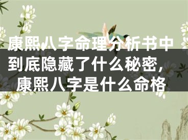 康熙八字命理分析书中到底隐藏了什么秘密,康熙八字是什么命格