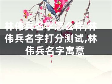 林伟兵名字怎么样,林伟兵名字打分测试,林伟兵名字寓意