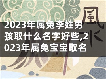 2023年属兔李姓男孩取什么名字好些,2023年属兔宝宝取名